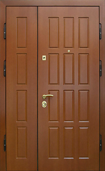 Тамбурная дверь №5